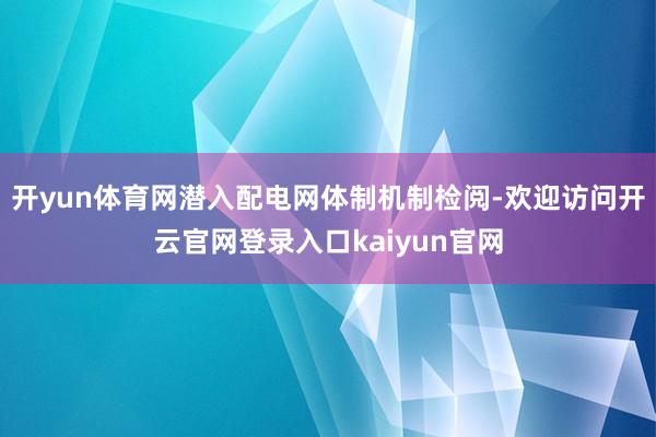 开yun体育网潜入配电网体制机制检阅-欢迎访问开云官网登录入口kaiyun官网