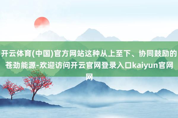 开云体育(中国)官方网站这种从上至下、协同鼓励的苍劲能源-欢迎访问开云官网登录入口kaiyun官网